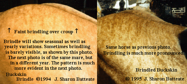 picture of seasonal variation