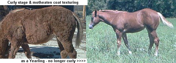 Photos by Janelle Johnson